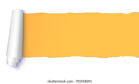 Realistic torn open paper with space for text on orange, horizontal background, holes in paper. Torn strip of paper with uneven, torn edges. Coiling torn strip of paper