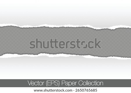 Realistic torn paper, A4 sheet of paper with torn strip of paper in the middle of the sheet, blank at the tear point, isolated on transparent background. Realistic vector paper mocap