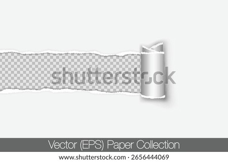 Realistic torn paper, A4 sheet of paper with torn and rolled strip of paper in the middle of the sheet, blank at the tear point, isolated on transparent background. Realistic vector paper mockup