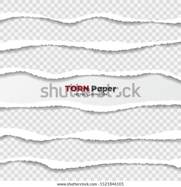 Realistic torn paper\
edges collection on transparent background. White ripped paper\
strips. Vector\
illustration.