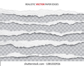Realistic Torn Paper Edges Vector