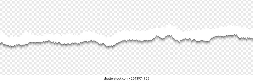 Realistic torn paper edges, vector illustration