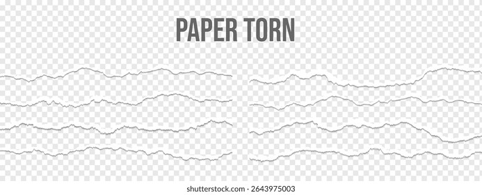 Realistic torn paper edges, vector illustration