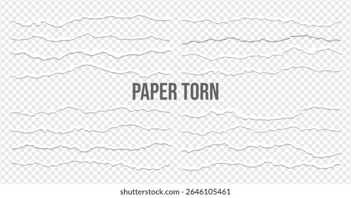 Realistic torn paper edges, vector illustration