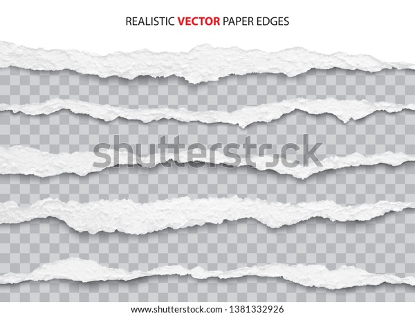 realistic torn paper edges\
vector