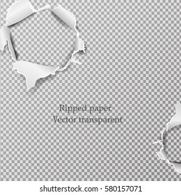 Realistic Torn paper, holes in the sheet of paper with ripped edges, space for text on transparent background. Torn page banner for web and print, sale promo, advertising, design. vector illustration
