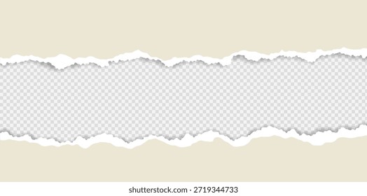 Tira Horizontal de papel rasgado realista aislada sobre fondo transparente. Textura de borde rasgado perfecta para el diseño de collage, carteles, scrapbooking, superposiciones y diseños creativos