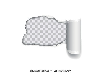 Realistic torn paper with rolled edge on transparent background - frame for your text or design