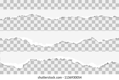 Realistic torn paper set with ripped edges, space on transparent background. Torn paper edge. Vector illustration