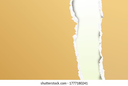 Realistische Vektorgrafik des Tornpapiers