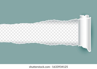 realistic torn ripped paper with rolled edges