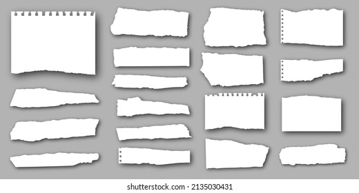 Realistic Torn Sheets of Paper. Ripped Notebook Pages with Shadow. Vector Illustration.