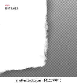 Realistic torn white corner of paper isolated on transparent background. Vector illustration.