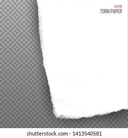 Realistic torn white corner of paper isolated on transparent background. Vector illustration.