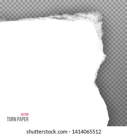 Realistic torn white corner of paper isolated on transparent background. Vector illustration.