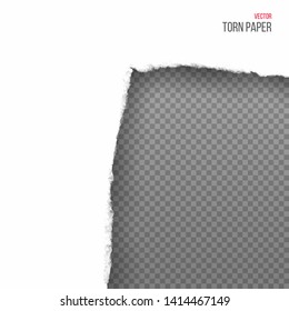 Realistic torn white corner of paper isolated on transparent background. Vector illustration.