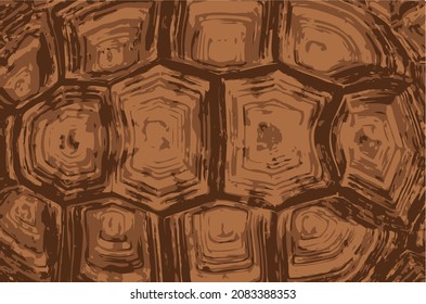 Realistic tortoise shell patern background