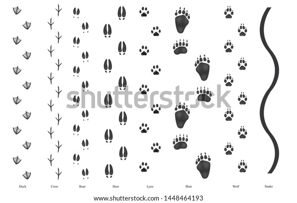 Realistic trail of sylvan wild\
birds and animals:  duck, crow, boar, bear, wolf, lynx, deer and\
snake