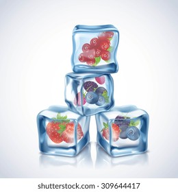 Realistic transparent blue ice cubes with berries inside vector illustration