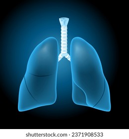 Realistic transparent blue Lungs on dark background.