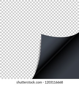 Realistic transparent Curled Corner with shadow. Eps10 Realistic transparent Curled Corner with shadow. Eps10