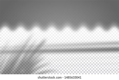 Realistic transparent drop shadow of shop roof and palm bush on a wall, overlay effect for photo, design presentation. Vector illustration