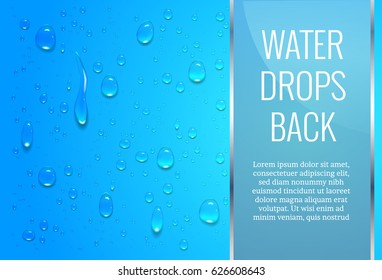 Realistic, transparent drops on a smooth surface or glass. Can be used with a different background. Vector illustration