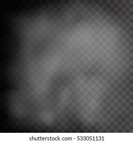 Realistic transparent Fog, Steam or Smoke. Vector format