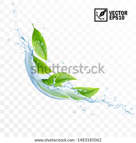 Similar – Image, Stock Photo Refreshing mint water with mint leaf