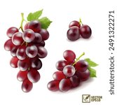 Realistic transparent isolated vector set branch of red grapes