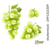 Realistic transparent isolated vector set branch of green grapes