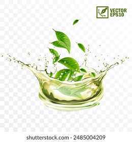 Realistic transparent isolated vector splash of green tea with green leaves and drops, a splash in the form of a crown