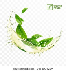 Realistic transparent isolated vector splash of green tea with green leaves and drops, a splash in the form of a circle