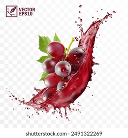 Realistic transparent isolated vector splash of wine or grape juice with red grapes branch