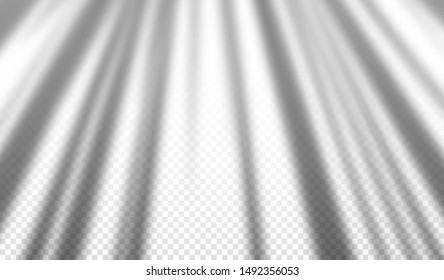 Realistic transparent long straight drop shadow from trees, overlay effect for photo, design presentation. Vector illustration