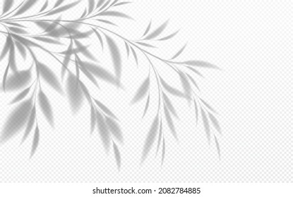 Realistic transparent shadow of a bamboo branch with leaves isolated on a transparent background. Vector illustration EPS10