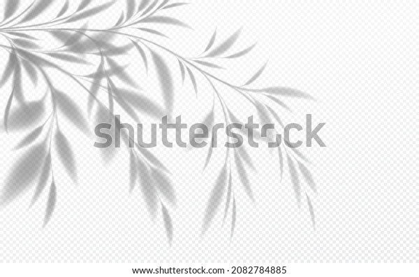 Realistic transparent shadow of a bamboo branch\
with leaves isolated on a transparent background. Vector\
illustration EPS10
