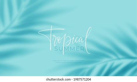 Realistic transparent shadow from a leaf of a palm tree on the blue background. Tropical leaves shadow. Mockup with palm leaves shadow. Vector illustration EPS10