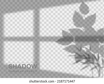 Efecto de superposición de sombra transparente para la marca.sombra larga sobre la superficie plana.luz suave desde la ventana de la pared.fondo para su diseño.eps.10 vector