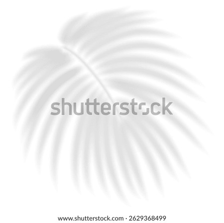 Realistic transparent shadow from a leaf of a palm tree. Mockup with tropic leaves shadow and overlay effect for product presentation and seasonal design. Vector illustration