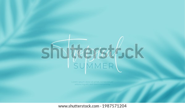 Realistic transparent shadow\
from a leaf of a palm tree on the blue background. Tropical leaves\
shadow. Mockup with palm leaves shadow. Vector illustration\
EPS10