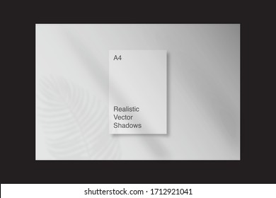 Efectos de superposición de sombra reales y transparentes para la marca. Mockups en formato A4. Escenas de luz natural. Ilustración vectorial fotorealista. Las hojas de la planta y los marcos de las ventanas superponen las sombras
