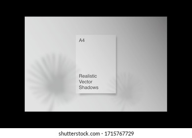 Realistic, transparent shadow overlay effects for branding. A4 format Mockups. Scenes of natural lighting. Photo-realistic vector illustration. Plants' overlays shadows on perspective
