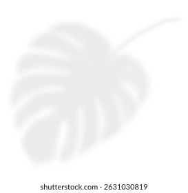 Realistic transparent shadow of a palm branch. The transparent shadow overlay effect tropic leaf. Mockup with tropic Monstera leaves shadow. Vector illustration