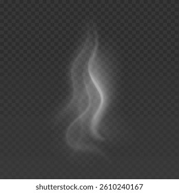 Realistic transparent smoke effect isolated on a dark background