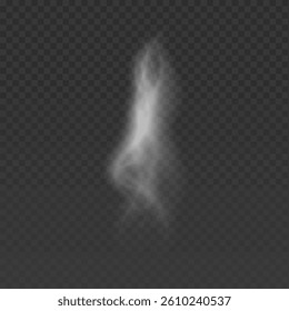 Realistic transparent smoke effect isolated on a dark background