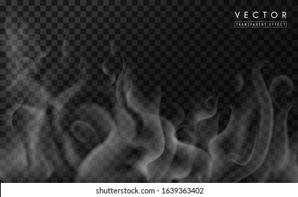 Realistic transparent special effect of hot steam or smoke. Vector gas, vapor, mist, fog isolated on dark background. Wavy elements for menu design