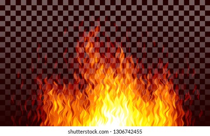 Realistic transparent vector fire flames on black background. Eps10.  