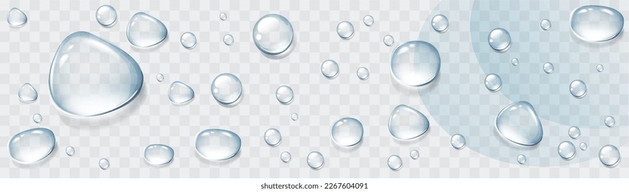 Realistic transparent water drops set. Rain drops on the glass. Isolated vector illustration