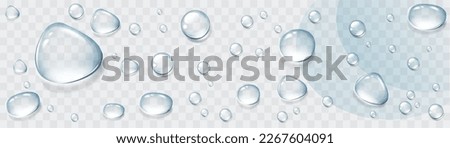 Realistic transparent water drops set. Rain drops on the glass. Isolated vector illustration